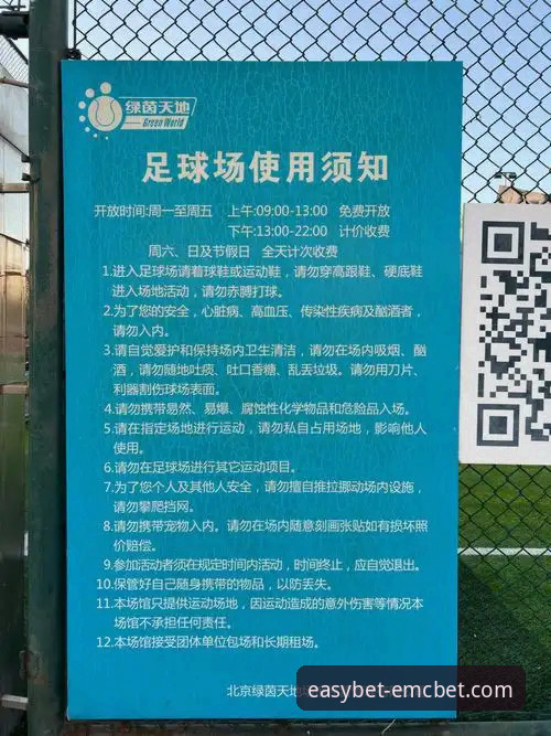 易倍体育官网入口与使用完整指南：从下载到畅玩的资深用户分享